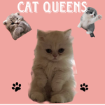 xxCAT QUEENSxx