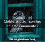 MigoFlowerXD. Followers
