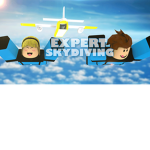 Expert sky diver's group