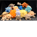 Celestial buddy group