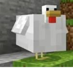 WeLoveChickens!