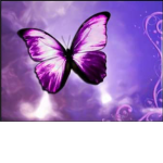 Butterflies S