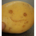 Potato. _.gang