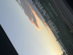 WolFe_