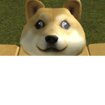 doges doge for da life