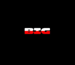 BigPolishStore
