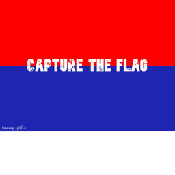 [REOPENED]  Capture The Flag