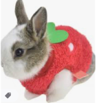Mimi squad Bunny