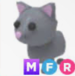 The cat famm