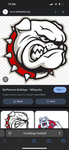 Bulldogs cheer& football team