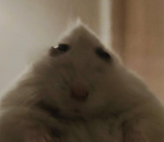 rAtTed
