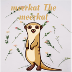 MeerkatTheMeerkat