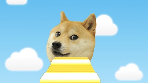 Escape Doge Parkour Obby!