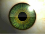 Operation Big-Eye 115