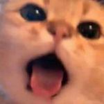 Slestry