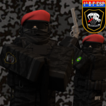 "BFEsp" || Batalhão de Forças Especiais"