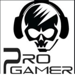 The Fantastic Pro Gamers