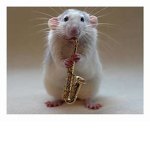 The Rat Squad!!!!