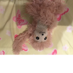 Sloth Peeps only