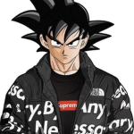 Mastered Ultra Instinct