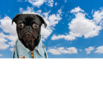 My droop