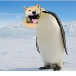 Doge Penguin Empire