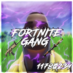 多 Fortnite Gang