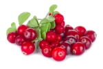 Cwamberry Dwinklets