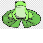 Le Real Frog