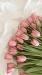 {~The Lillyflower~}