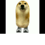 YayMemeDogGamingGroup