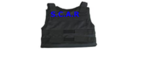 SCAR Stealth Concerned Assault Recon