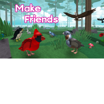 The Life Of A Bird