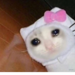 General depression group