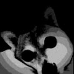Incinny is not gud