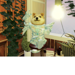 Big_C’s House