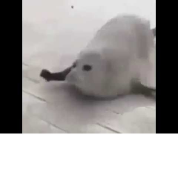 Tasrielgamer