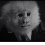 milkmonkey