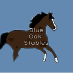 ~Blue Oak Stables ~
