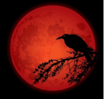DarkRedMoon Studios