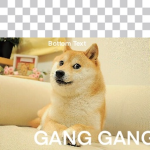 GANGGANG7