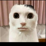 DarkLightViper's Place 2