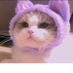 -The Roblox Tik_T0k hype House!-