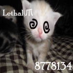 Lethal 爪