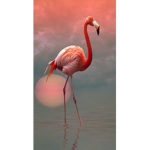 Flamingos_friends