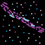 The Galaxy Scouts