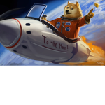 Doge Wowsers