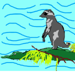Racoon and Crocodile Group
