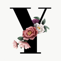 Y