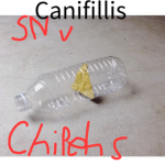 CaniffiliS